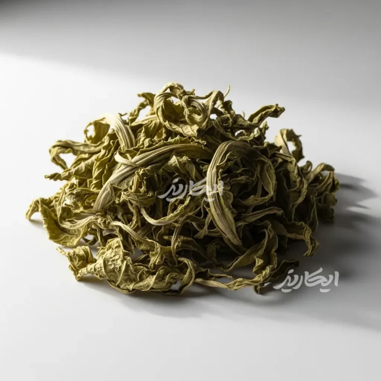 خرید كنگر فرنگی (آرتیشو) از عطاری در یزد | ارسال به سراسر ایران