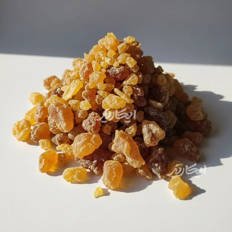 خرید انغوزه از عطاری در یزد | ارسال به سراسر ایران