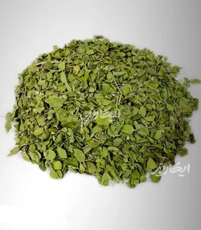 خرید آویشن شیرازی از عطاری در یزد | ارسال به سراسر ایران