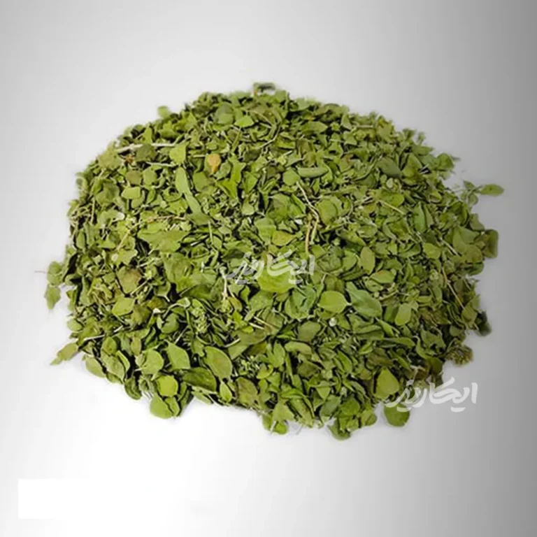 خرید آویشن شیرازی از عطاری در یزد | ارسال به سراسر ایران