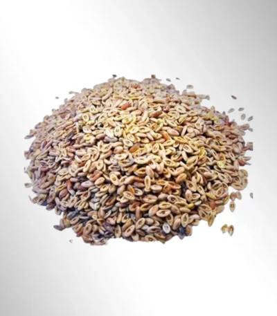خرید اسفرزه از عطاری در یزد | ارسال به سراسر ایران