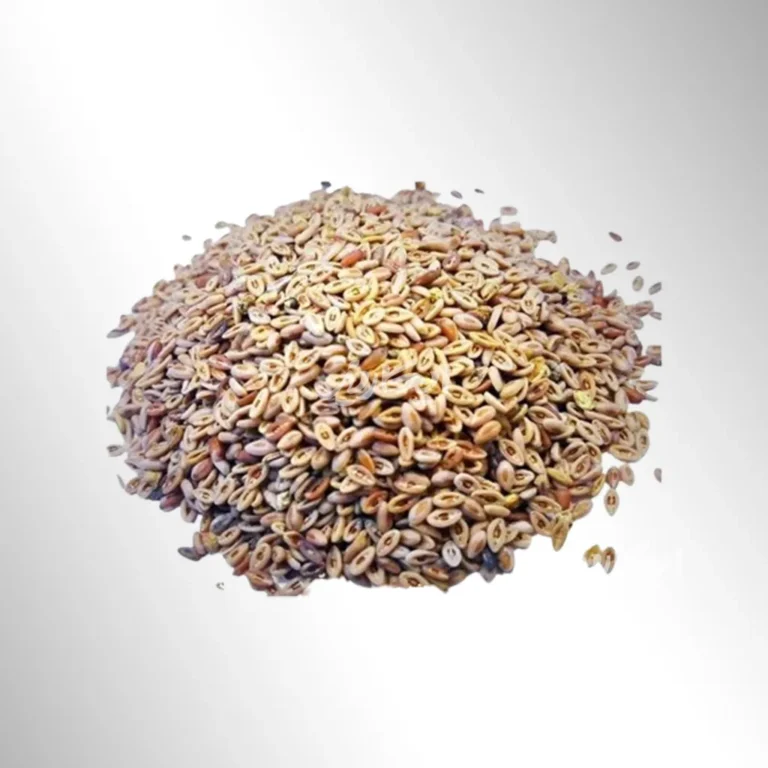 خرید اسفرزه از عطاری در یزد | ارسال به سراسر ایران