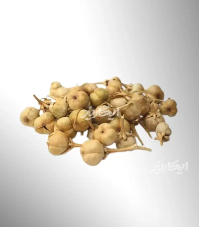 خرید اسپند از عطاری در یزد | ارسال به سراسر ایران