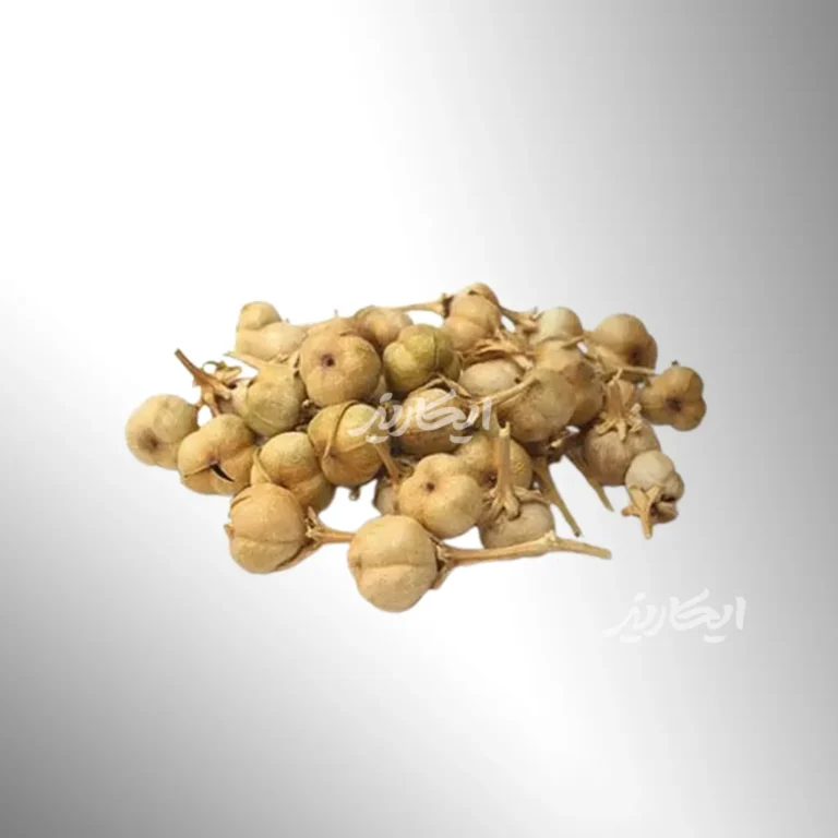 خرید اسپند از عطاری در یزد | ارسال به سراسر ایران