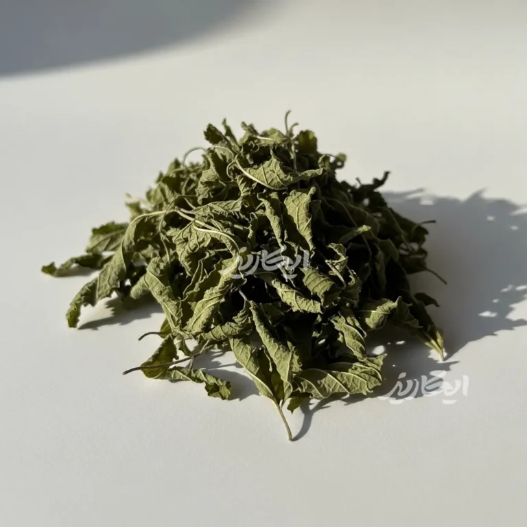 خرید بادرنجبویه از عطاری در یزد | ارسال به سراسر ایران