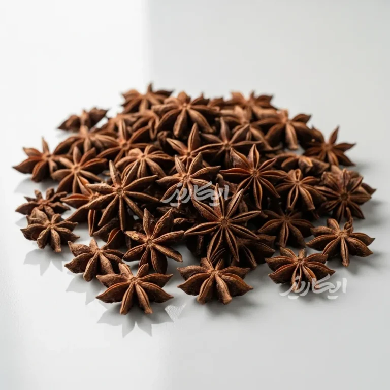 خرید بادیان ستاره‌ای از عطاری در یزد | ارسال به سراسر ایران