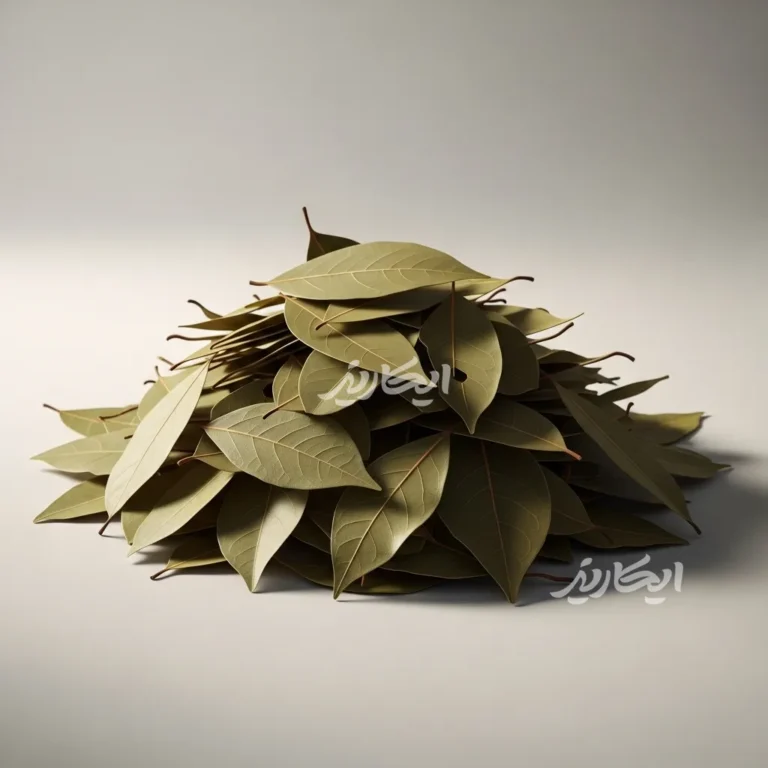 خرید برگ بو از عطاری در یزد | ارسال به سراسر ایران