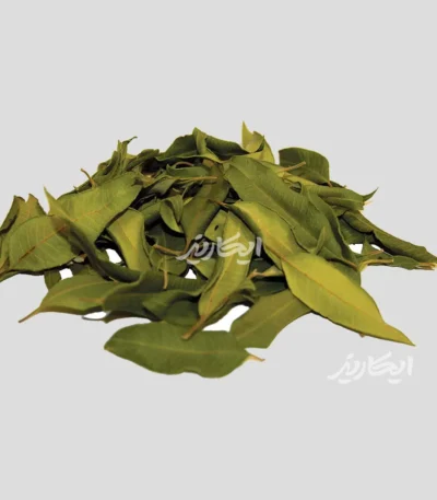 خرید برگ مورد از عطاری در یزد | ارسال به سراسر ایران