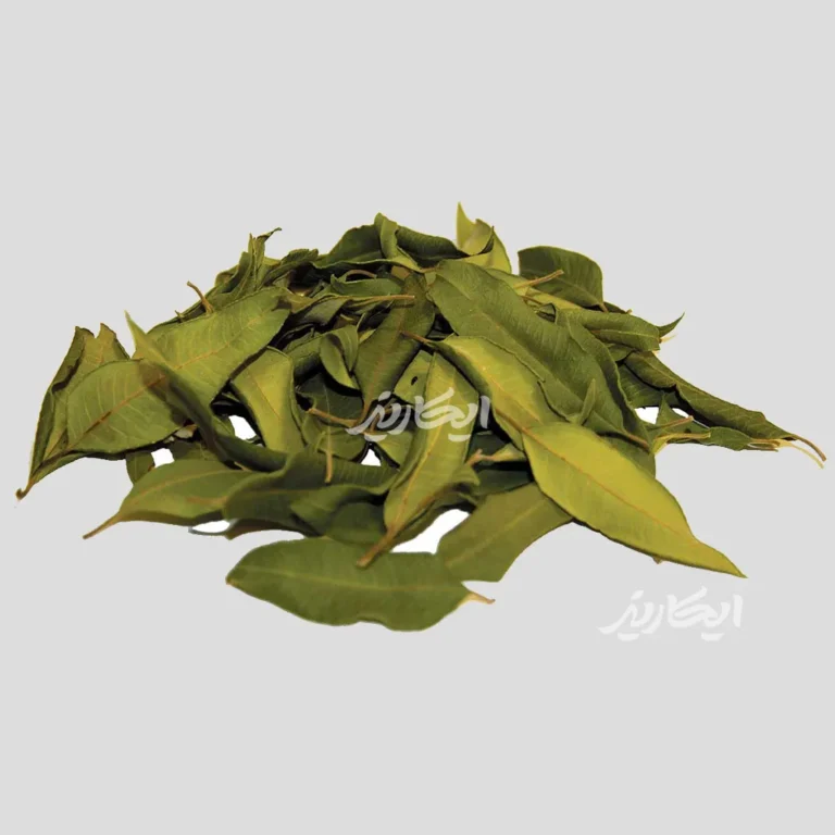 خرید برگ مورد از عطاری در یزد | ارسال به سراسر ایران