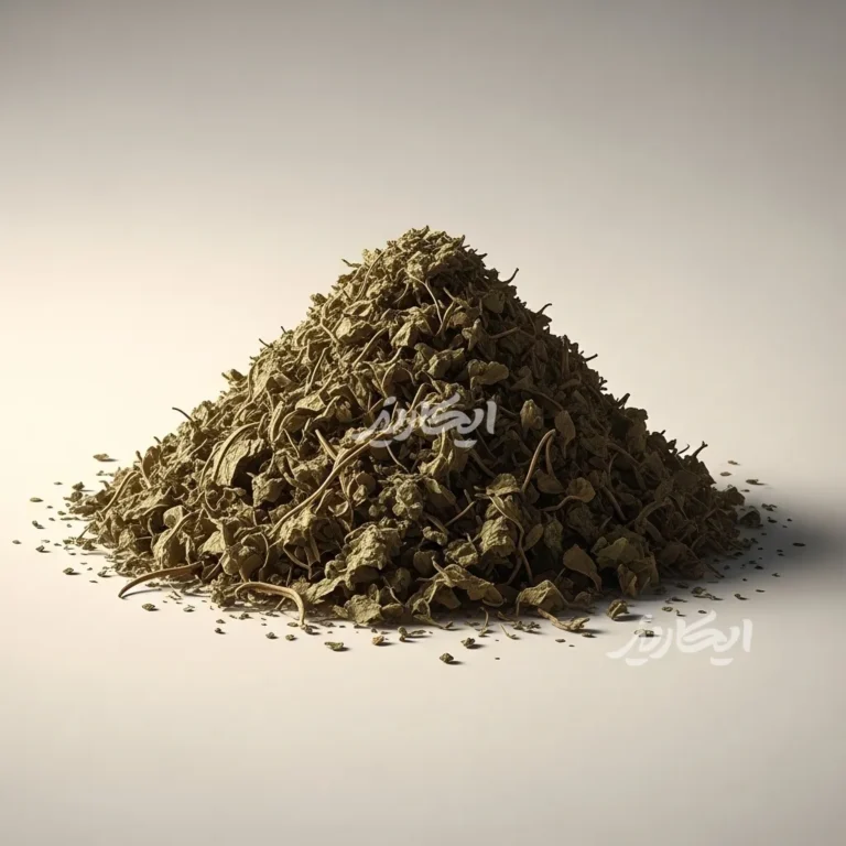 خرید برگ گزنه خشک از عطاری در یزد | ارسال به سراسر ایران