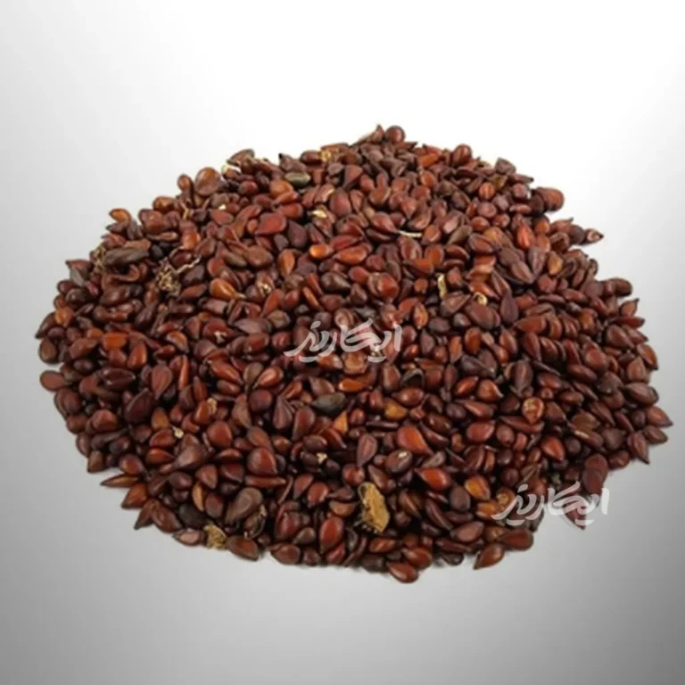 خرید به دانه از عطاری در یزد | ارسال به سراسر ایران