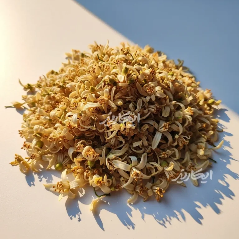 خرید بهار نارنج از عطاری در یزد | ارسال به سراسر ایران