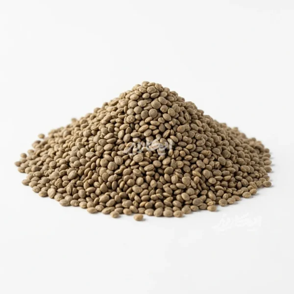 خرید تخم اسفناج از عطاری در یزد | ارسال به سراسر ایران