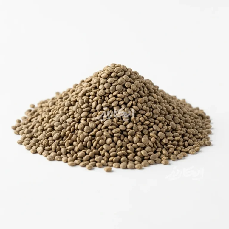 خرید تخم اسفناج از عطاری در یزد | ارسال به سراسر ایران