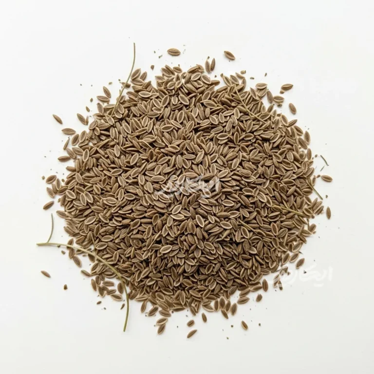 خرید تخم جعفری از عطاری در یزد | ارسال به سراسر ایران