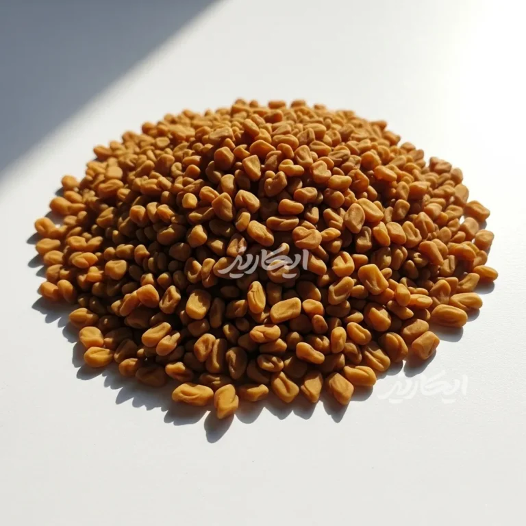 خرید تخم شنبلیله از عطاری در یزد | ارسال به سراسر ایران