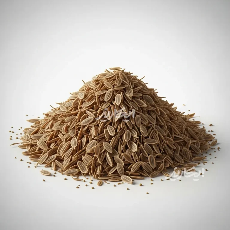 خرید تخم شوید از عطاری در یزد | ارسال به سراسر ایران