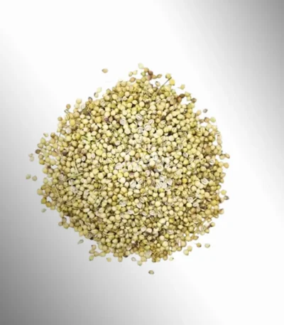 خرید تخم گشنیز از عطاری در یزد | ارسال به سراسر ایران