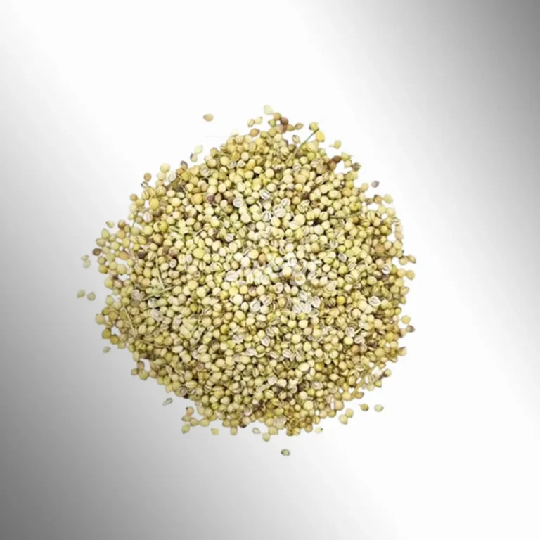 خرید تخم گشنیز از عطاری در یزد | ارسال به سراسر ایران