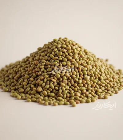 خرید تخم یونجه از عطاری در یزد | ارسال به سراسر ایران