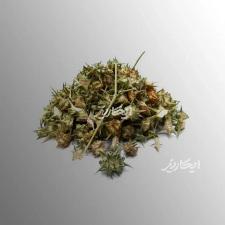 خرید خارخسک از عطاری در یزد | ارسال به سراسر ایران