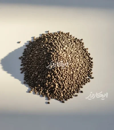خرید دانه چیا از عطاری در یزد | ارسال به سراسر ایران