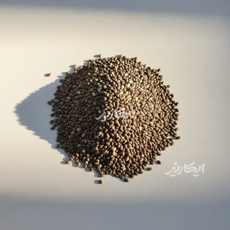 خرید دانه چیا از عطاری در یزد | ارسال به سراسر ایران