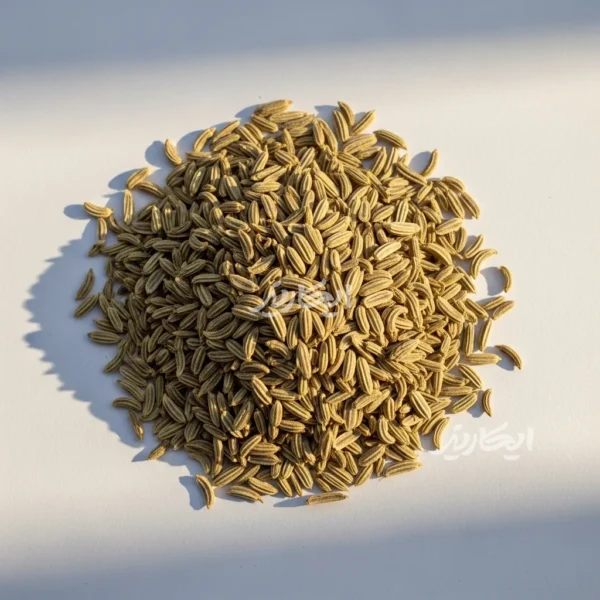 خرید رازیانه از عطاری در یزد | ارسال به سراسر ایران