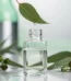 خرید روغن اکالیپتوس از عطاری در یزد | ارسال به سراسر ایران