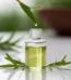 خرید روغن درخت چای از عطاری در یزد | ارسال به سراسر ایران