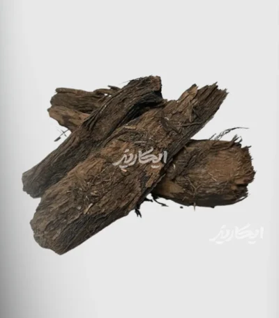 خرید ریشه بابا آدم از عطاری در یزد | ارسال به سراسر ایران
