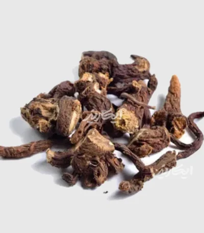 خرید ریشه قاصدک از عطاری در یزد | ارسال به سراسر ایران