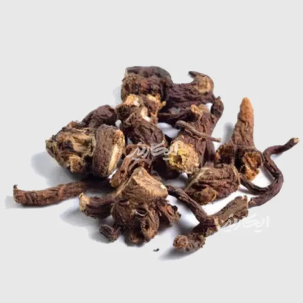 خرید ریشه قاصدک از عطاری در یزد | ارسال به سراسر ایران