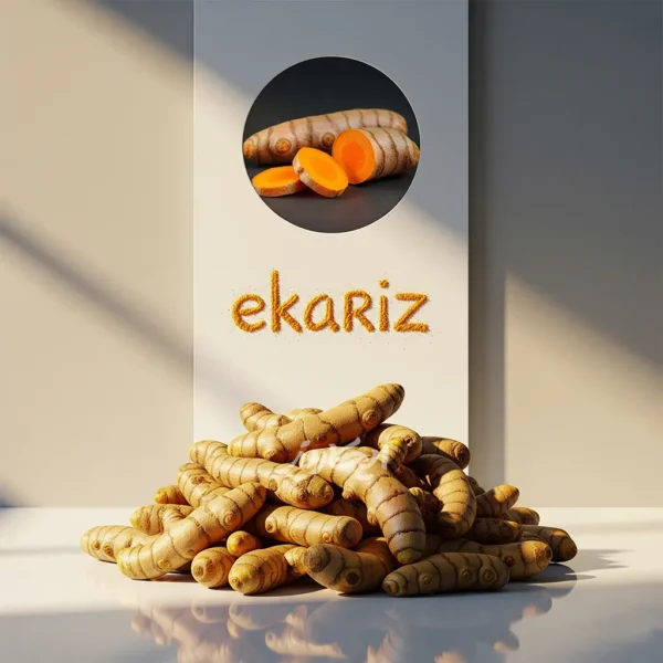 خرید زردچوبه قلم از عطاری در یزد | ارسال به سراسر ایران