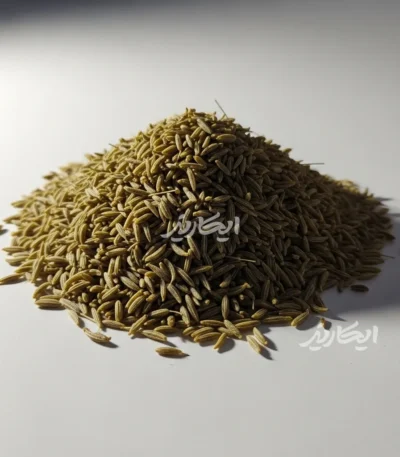 خرید زیره سبز از عطاری در یزد | ارسال به سراسر ایران