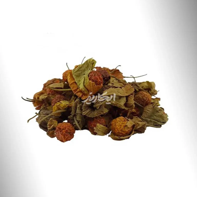 خرید گیاه عروس پشت پرده(كاكنج) از عطاری در یزد | ارسال به سراسر ایران