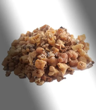 خرید فرفیون از عطاری در یزد | ارسال به سراسر ایران