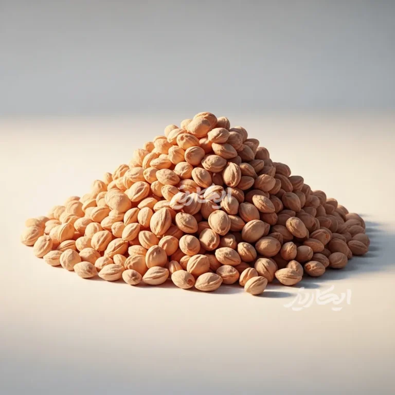 خرید هسته آلبالو از عطاری در یزد | ارسال به سراسر ایران