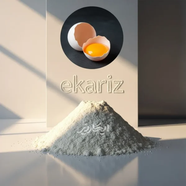 پودر سفیده تخم مرغ