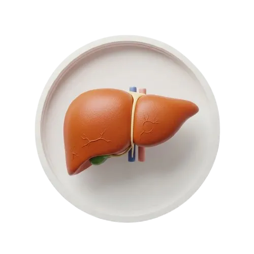 عرقیات گیاهی برای درمان کبد چرب