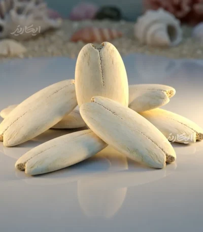 خرید کف دریا از عطاری در یزد | ارسال به سراسر ایران