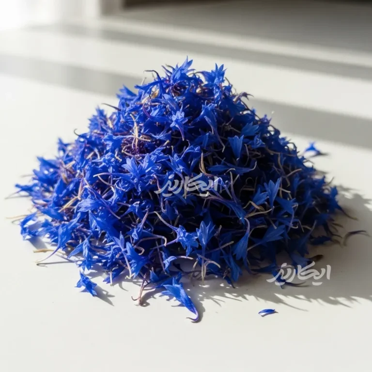 خرید گل گندم از عطاری در یزد | ارسال به سراسر ایران