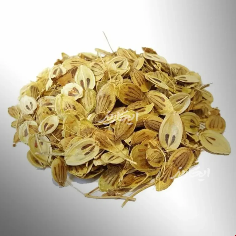 خرید گلپر از عطاری در یزد | ارسال به سراسر ایران