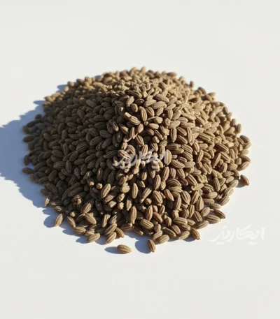 خرید گیاه زنیان از عطاری در یزد | ارسال به سراسر ایران